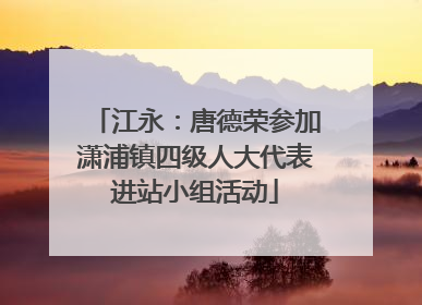 江永：唐德荣参加潇浦镇四级人大代表进站小组活动