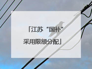 江苏“国补”采用限额分配