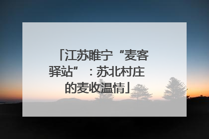 江苏睢宁“麦客驿站”：苏北村庄的麦收温情