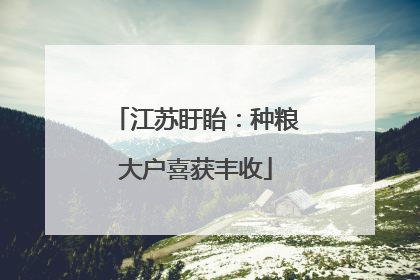 江苏盱眙：种粮大户喜获丰收
