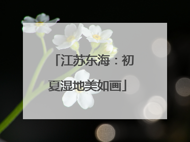 江苏东海：初夏湿地美如画
