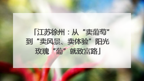 江苏徐州：从“卖葡萄”到“卖风景、卖体验”阳光玫瑰“葡”就致富路
