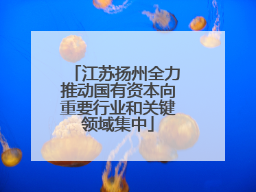 江苏扬州全力推动国有资本向重要行业和关键领域集中