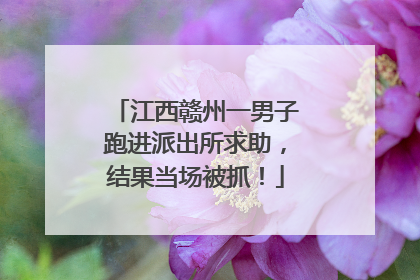 江西赣州一男子跑进派出所求助，结果当场被抓！