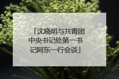 沈晓明与共青团中央书记处第一书记阿东一行会谈