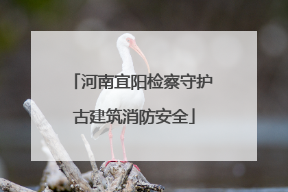 河南宜阳检察守护古建筑消防安全