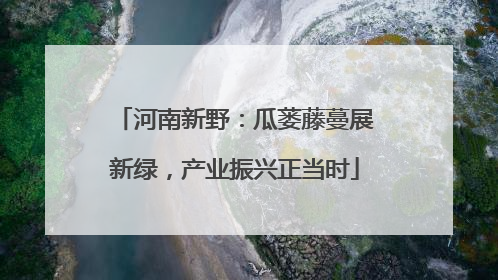 河南新野：瓜蒌藤蔓展新绿，产业振兴正当时