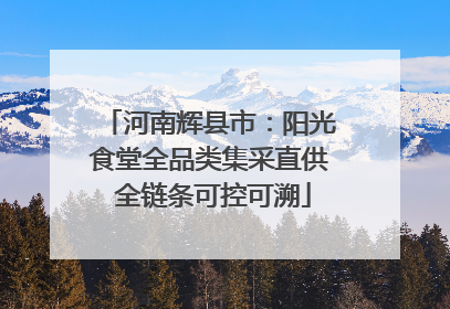 河南辉县市：阳光食堂全品类集采直供 全链条可控可溯