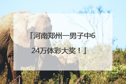 河南郑州一男子中624万体彩大奖！