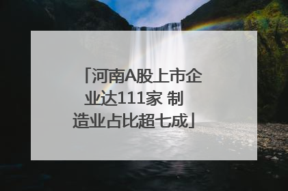 河南A股上市企业达111家 制造业占比超七成