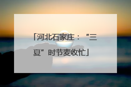 河北石家庄：“三夏”时节麦收忙