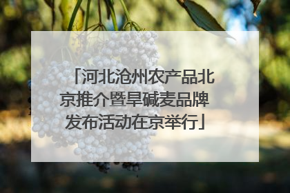 河北沧州农产品北京推介暨旱碱麦品牌发布活动在京举行