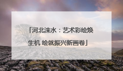 河北涞水：艺术彩绘焕生机 绘就振兴新画卷