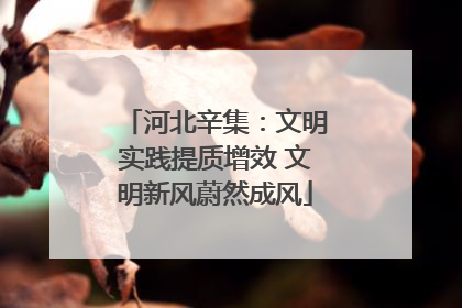 河北辛集：文明实践提质增效 文明新风蔚然成风