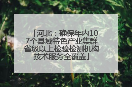 河北：确保年内107个县域特色产业集群省级以上检验检测机构技术服务全覆盖