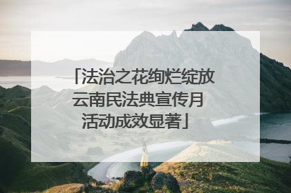法治之花绚烂绽放 云南民法典宣传月活动成效显著
