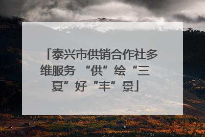 泰兴市供销合作社多维服务 “供”绘“三夏”好“丰”景