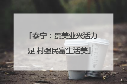泰宁：景美业兴活力足 村强民富生活美