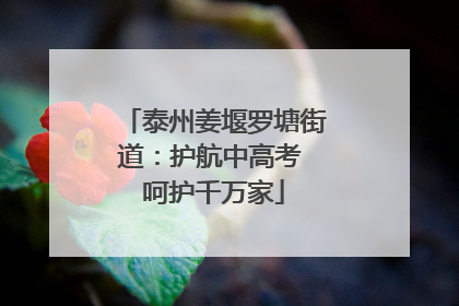 泰州姜堰罗塘街道：护航中高考 呵护千万家
