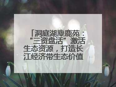 洞庭湖麋鹿苑：“三资盘活”激活生态资源，打造长江经济带生态价值转化新标杆