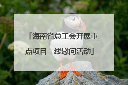 海南省总工会开展重点项目一线慰问活动