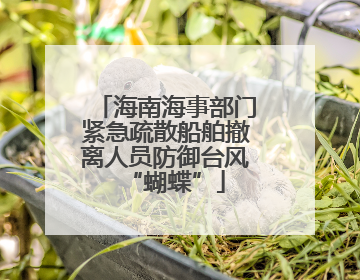 海南海事部门紧急疏散船舶撤离人员防御台风“蝴蝶”