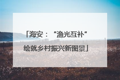 海安：“渔光互补” 绘就乡村振兴新图景