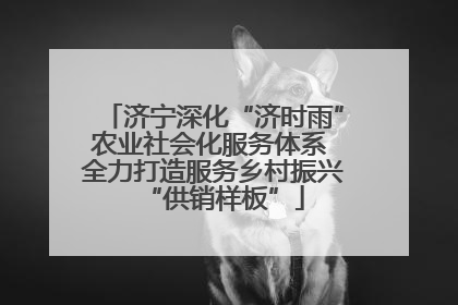 济宁深化“济时雨”农业社会化服务体系 全力打造服务乡村振兴“供销样板”