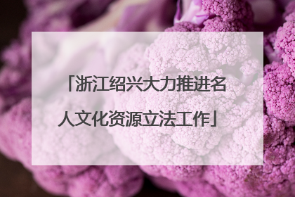 浙江绍兴大力推进名人文化资源立法工作
