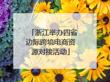 浙江举办四省边际跨境电商资源对接活动