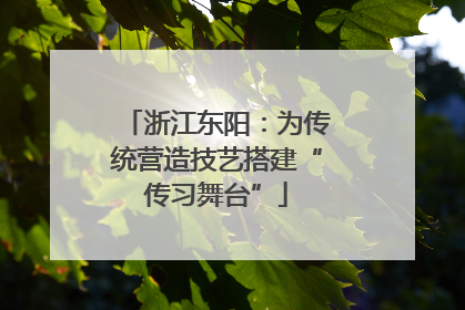 浙江东阳：为传统营造技艺搭建“传习舞台”