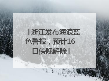 浙江发布海浪蓝色警报，预计16日傍晚解除