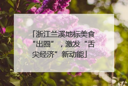 浙江兰溪地标美食“出圈”，激发“舌尖经济”新动能