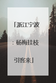 浙江宁波：杨梅挂枝引客来