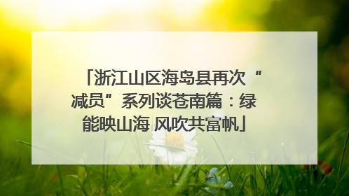 浙江山区海岛县再次“减员”系列谈苍南篇：绿能映山海 风吹共富帆