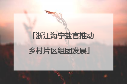 浙江海宁盐官推动乡村片区组团发展