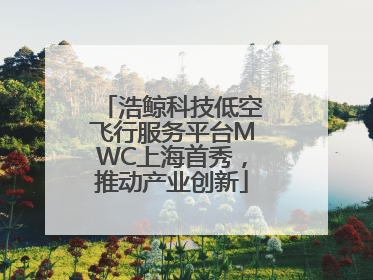浩鲸科技低空飞行服务平台MWC上海首秀，推动产业创新