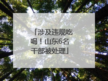 涉及违规吃喝！山东6名干部被处理
