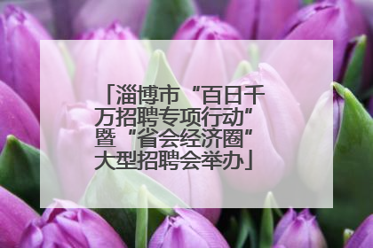 淄博市“百日千万招聘专项行动”暨“省会经济圈”大型招聘会举办