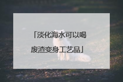 淡化海水可以喝 废渣变身工艺品