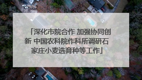深化市院合作 加强协同创新 中国农科院作科所调研石家庄小麦选育种等工作
