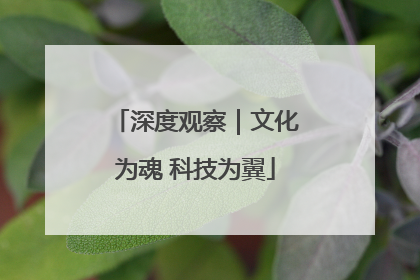 深度观察｜文化为魂 科技为翼