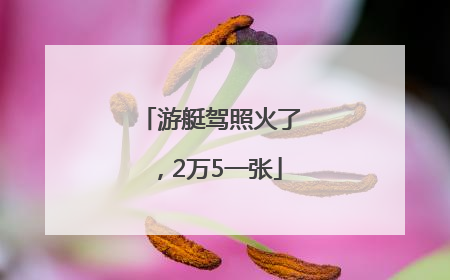 游艇驾照火了，2万5一张