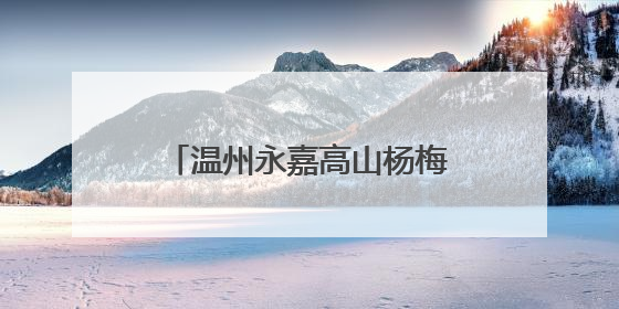 温州永嘉高山杨梅供销市集活动启幕