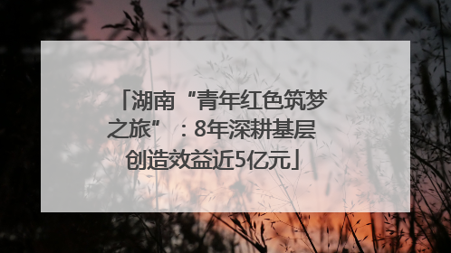 湖南“青年红色筑梦之旅”：8年深耕基层创造效益近5亿元