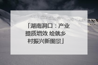 湖南洞口：产业提质增效 绘就乡村振兴新图景