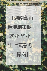 湖南蓝山精准施策促就业 毕业生“沉浸式”探岗