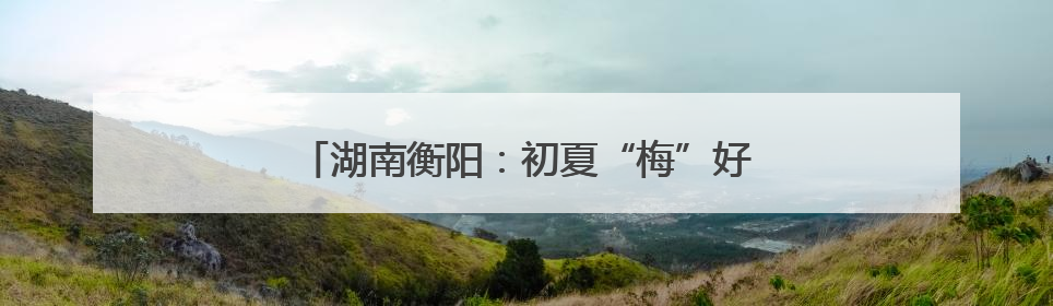 湖南衡阳：初夏“梅”好时光 采摘尝鲜正当时