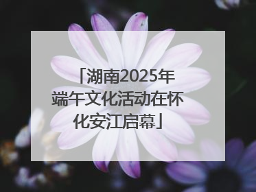 湖南2025年端午文化活动在怀化安江启幕