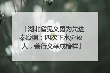 湖北省见义勇为先进秦遵照：四次下水勇救人，善行义举成榜样